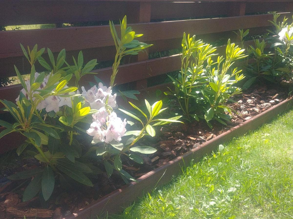 Apartament Jantar Z Ogrodem Kolobrzeg Bagian luar foto